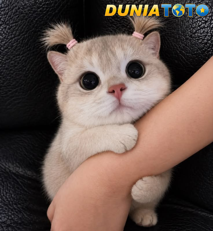 DUNIATOTO: Penghijauan Merata Situs Bandar Togel Resmi Bebas Emisi